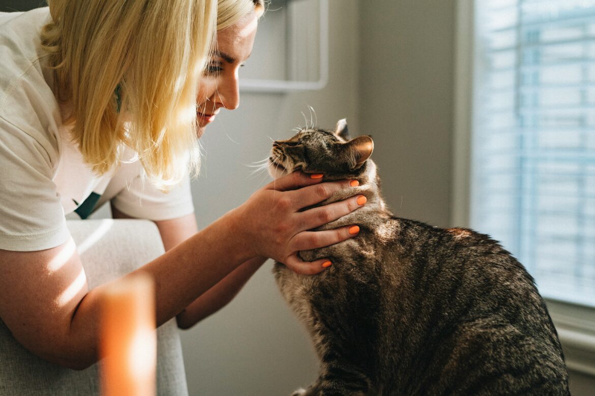 Cum găsești un medic veterinar bun pentru pisica ta
